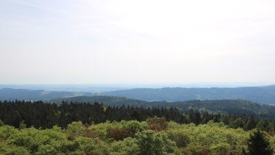Fotowebcam Böhmerwaldturm-Ost