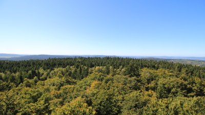 Böhmerwaldturm-West