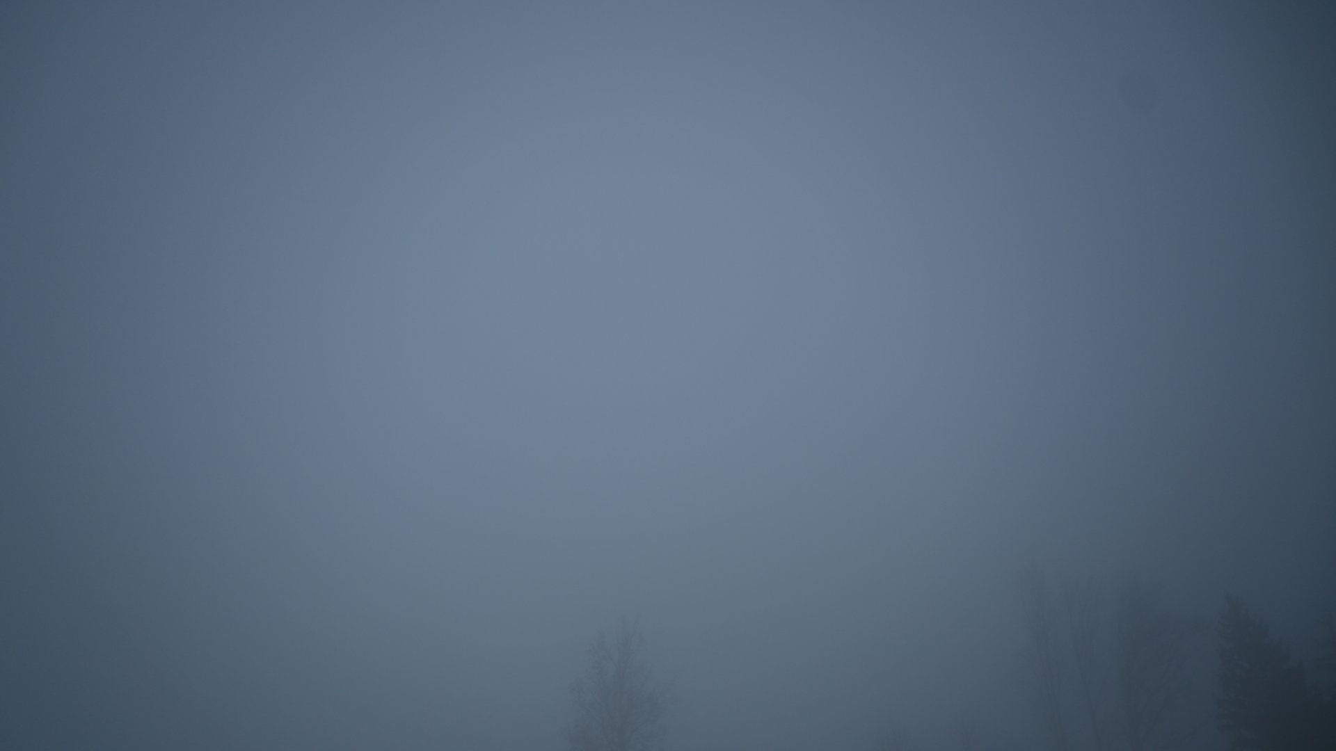 Fotowebcam