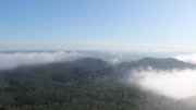 Hochwald