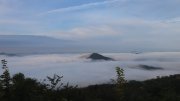 Hochwald-Süd