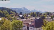 Siegsdorf-Störche