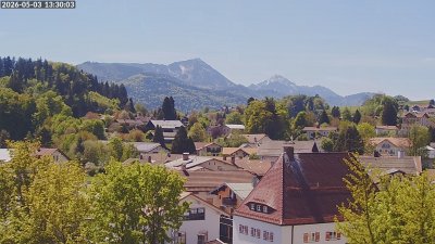Siegsdorf-Störche
